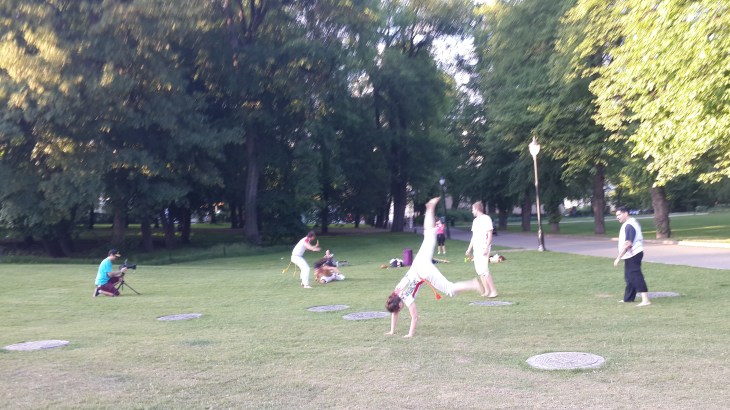 kraliyet sarayı bahçesi