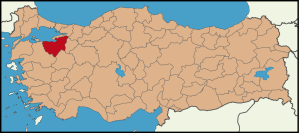 Bursa