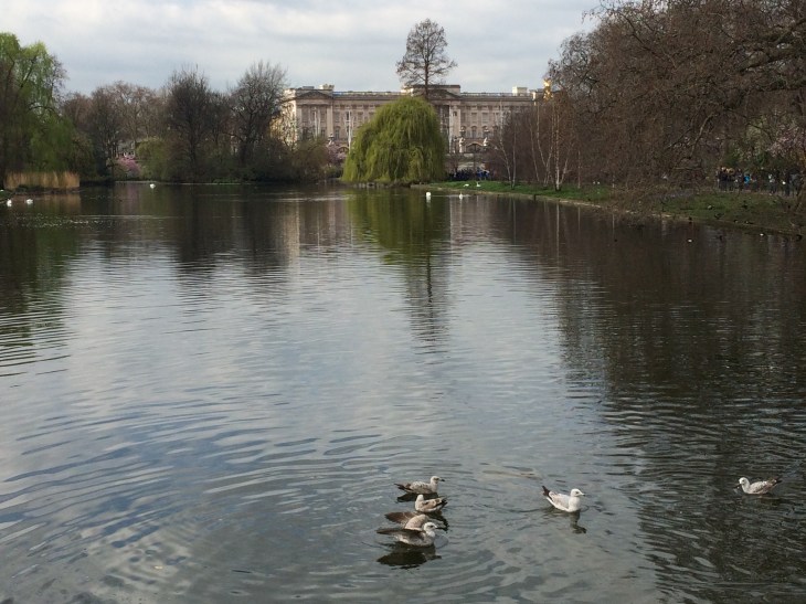 st.James park