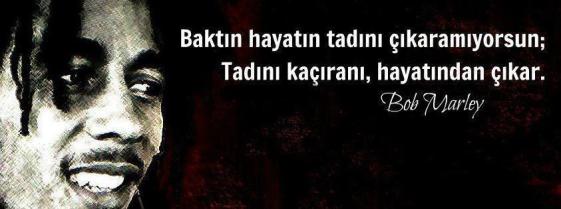 9999_1485_06112013133921_1