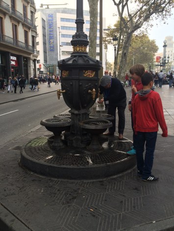 2015-11-07 16.50.56 HDR-2