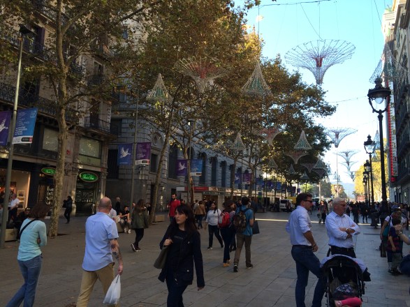 2015-11-09 15.10.37-1