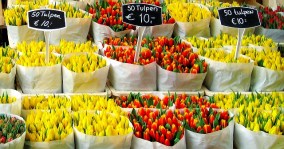 Amsterdam-Cicek-Pazari