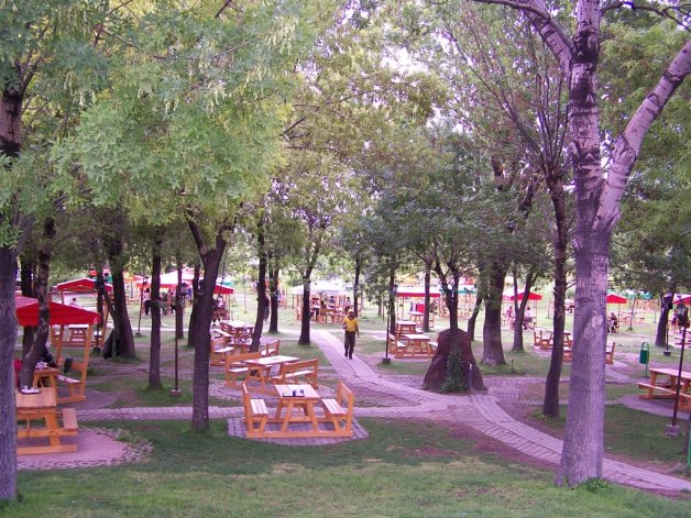 944AB7F5-3049-4ADD-A7A1-C8FD475DB1D6-15340-000011D1D625703D_tmp